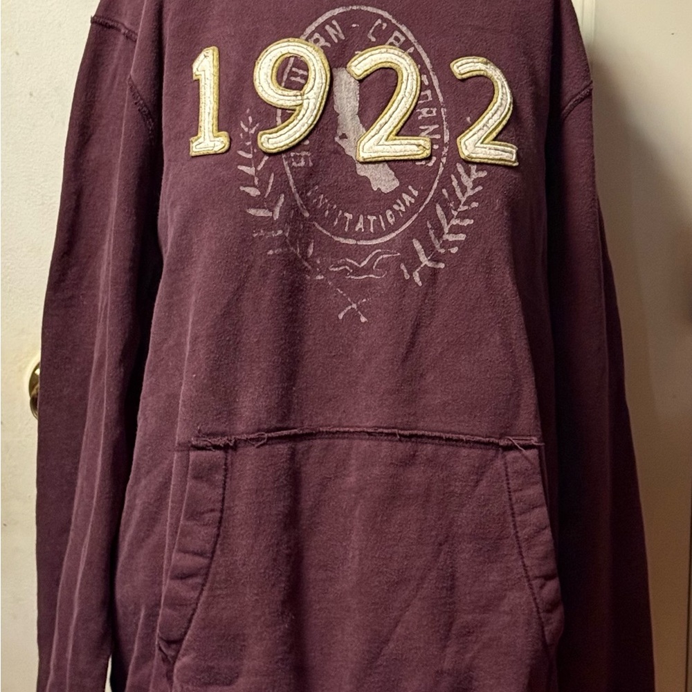 Hollister ~ Hoodie ~ Vintage ~ Unisex ~ Men’s XL ~ Women’s 2X ~ Y2K